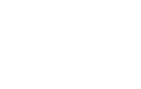 Wikipedia